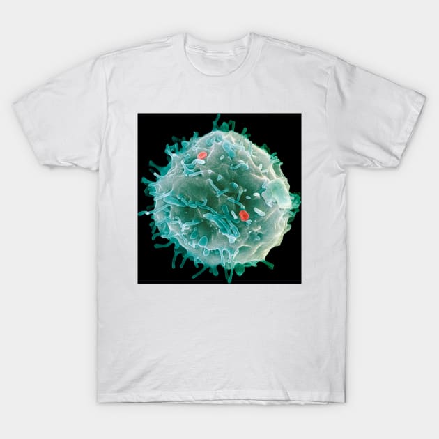 Stem cell, SEM (G442/0451) T-Shirt by SciencePhoto